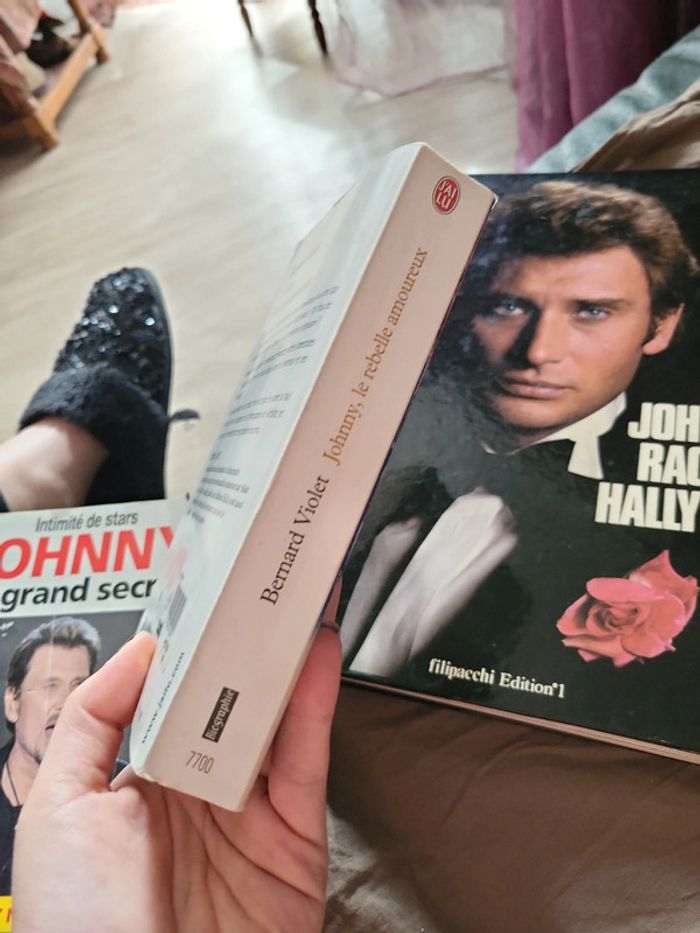 Lot 3 livres johnny hallyday - photo numéro 6