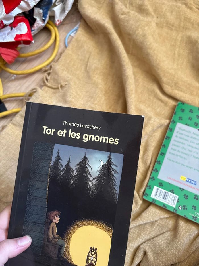 Tir et les gnomes - photo numéro 2