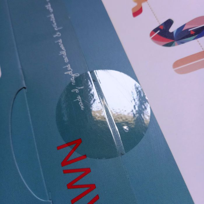 Totem Fawn Studio Roof - photo numéro 3