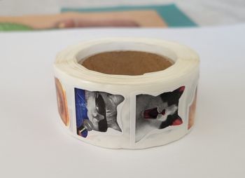 500 autocollants tete de chat drole