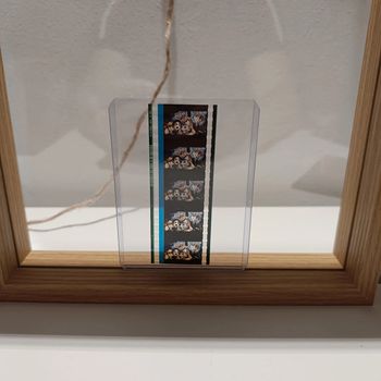 Pellicule démon slayer tanjiro inosuke zenitsu et tengen