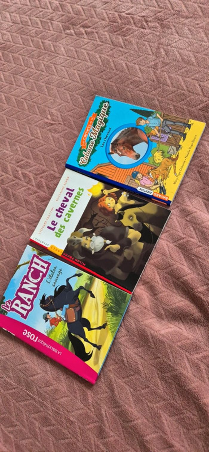 Lot livres chevaux