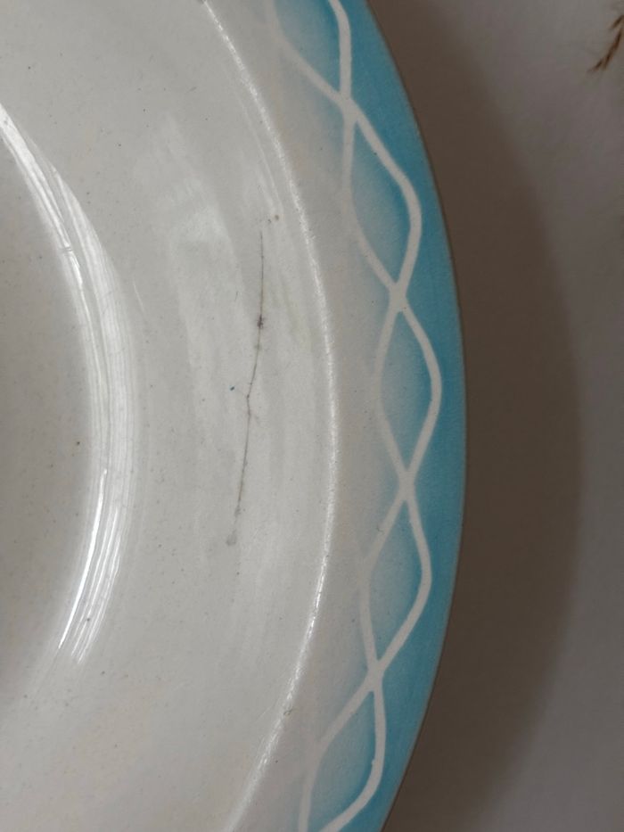 Plat creux ancien Digoin Sarreguemines Albert - photo numéro 3