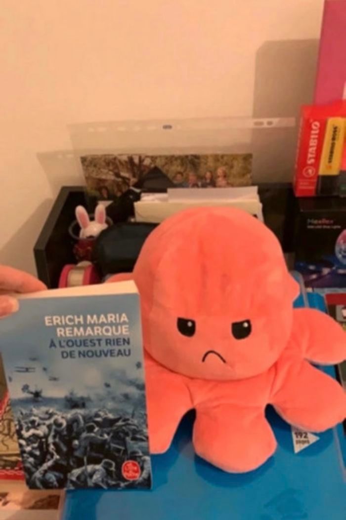 Peluche - photo numéro 6
