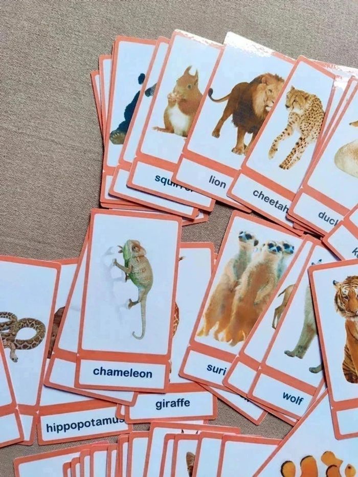 Lot de 56 cartes de nomenclature sur les animaux en Anglais Montessori - photo numéro 7