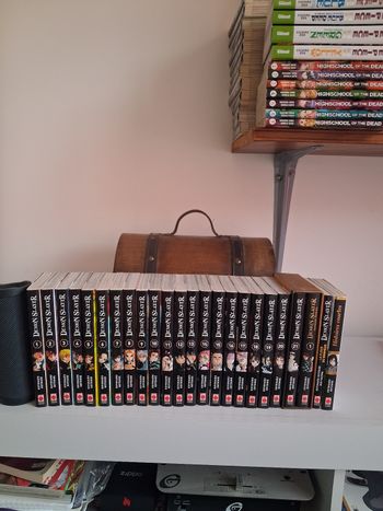 Manga Demon Slayer tome 1 au tome 21 avec 21 coffret collector + roman + Histoires courtes