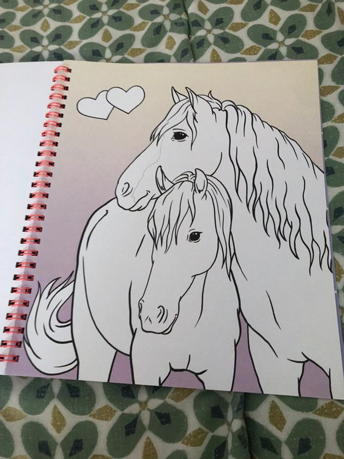 Livre de coloriage miss Mélody - photo numéro 11