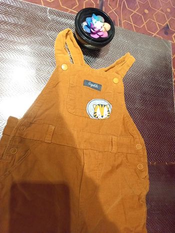 Superbe salopette, mixte et chaude motif tigre