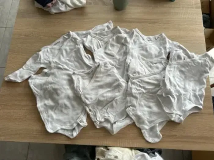 7 bodies
