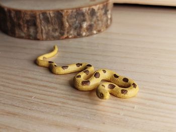 Figurine serpent beige et marron Animal de la savane