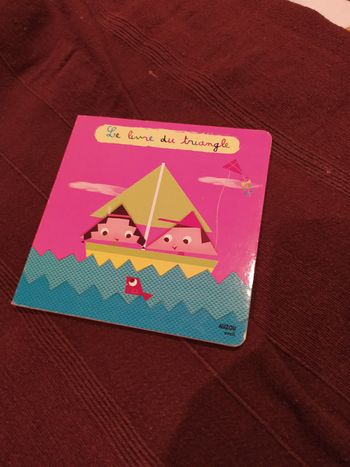 Le livre du triangle