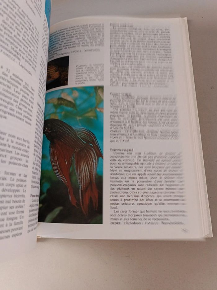 La nouvelle encyclopédie des animaux France loisirs édition 1980 - photo numéro 7