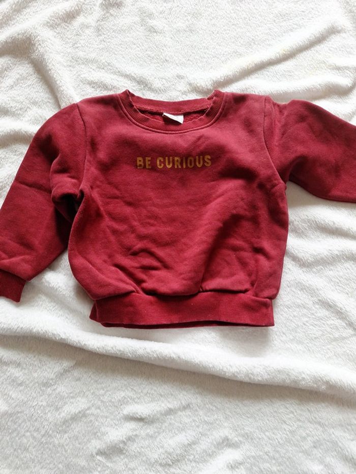 Sweat be curious - photo numéro 2