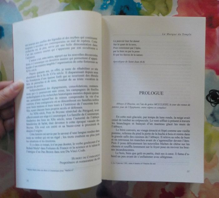 Le chevalier noir et la dame blanche T2 La marque du temple de H. de Queyssac - photo numéro 5