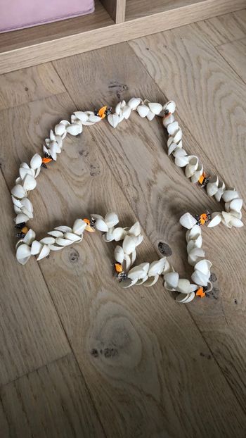 Collier de coquillages