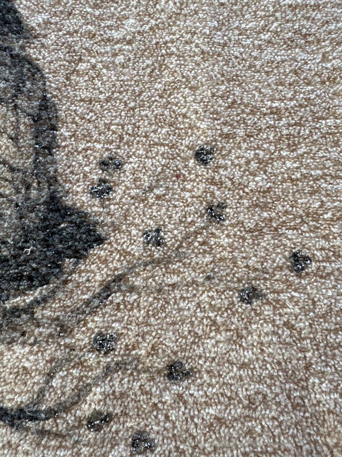 Sweat 8 ans  Zara - photo numéro 3