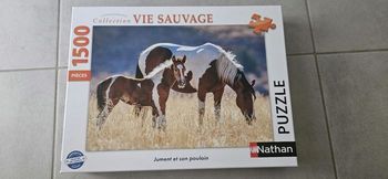 Puzzle la jument et son poulain 1500 pieces