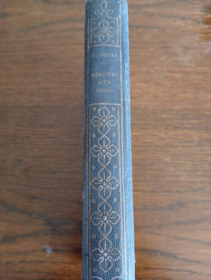 Mémoires d'un dingo - photo numéro 3