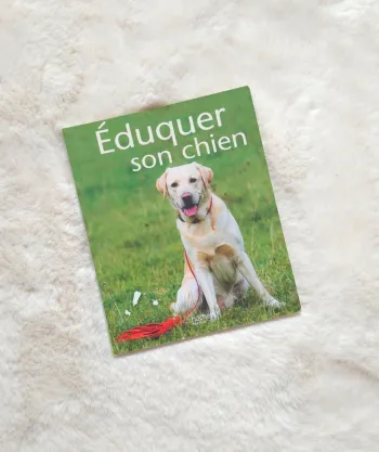 Éduquer son chien
