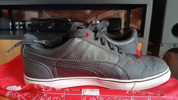 Puma noires - photo numéro 6