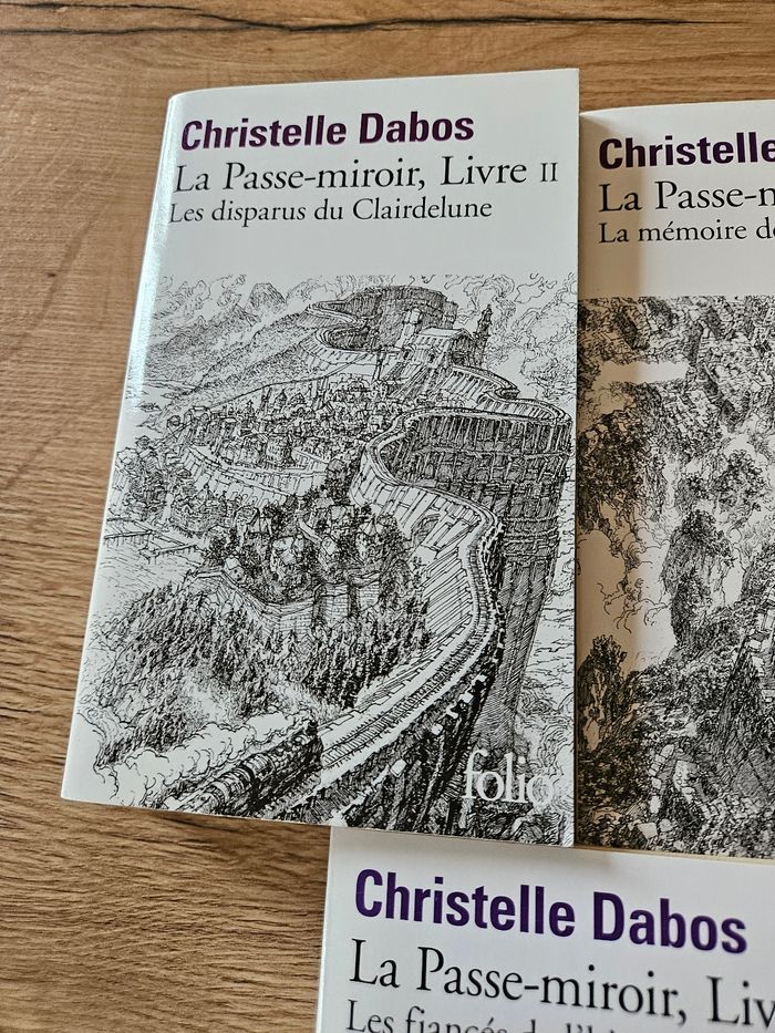 La passe-miroir de Christelle Dabos (3 tomes) - photo numéro 4