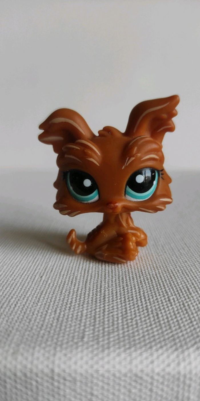 My littlest petshop chien lps Yorkshire 1407