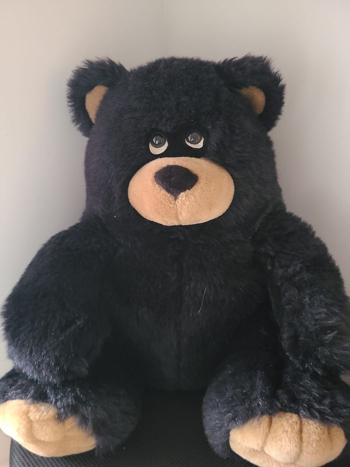 peluche ours - photo numéro 8