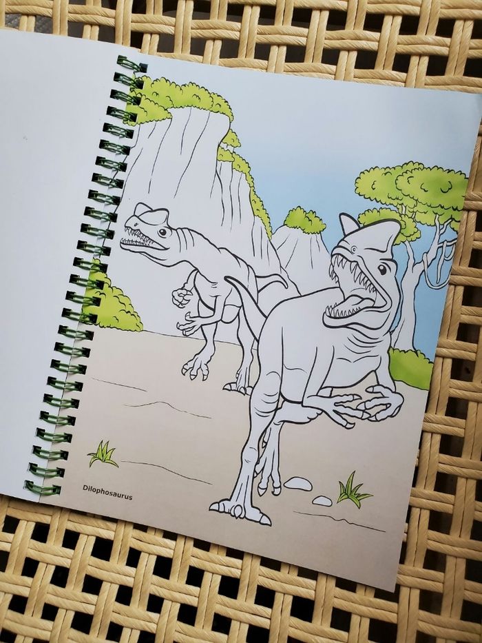 Coloriage - photo numéro 4