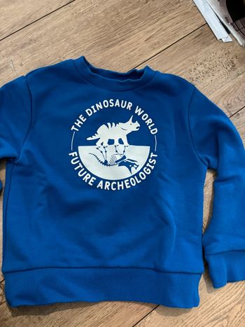 Sweat dinosaure 4 ans