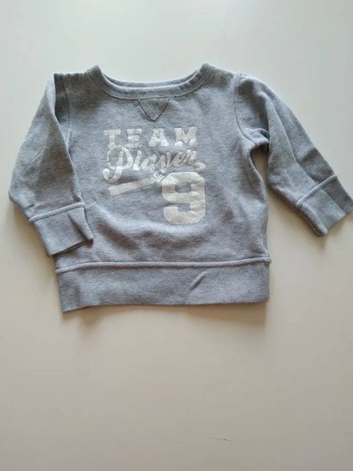 sweat gris babiesrus garcon 12 mois