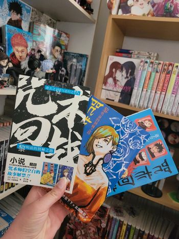 Intégrale en 2 tomes du roman du manga jujutsu kaisen