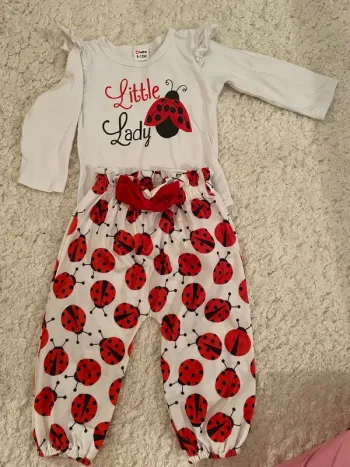 Ensemble coccinelle