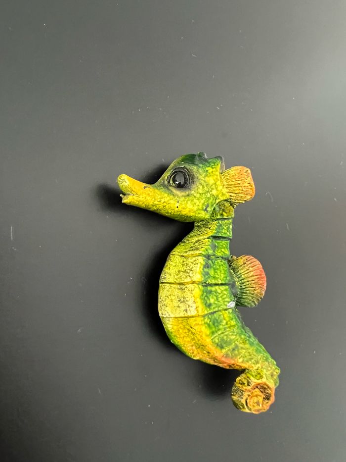 Manget hippocampe - photo numéro 2