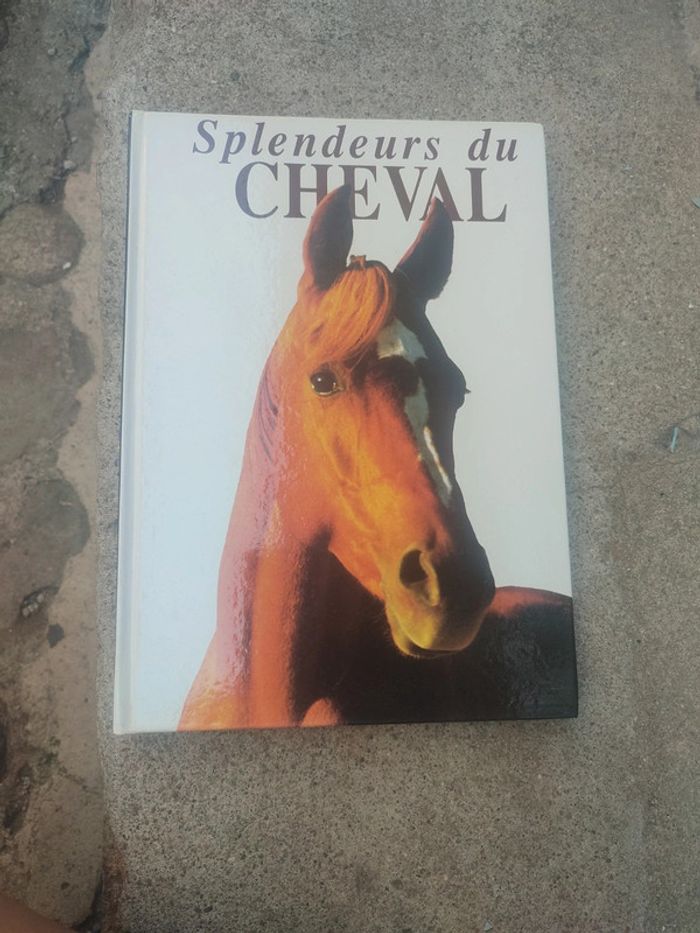 Livre la splendeurs du cheval