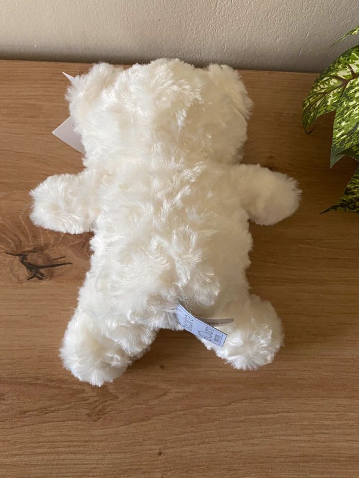 Doudou peluche ours câlin ivoire blanc histoire d ours neuf - photo numéro 3