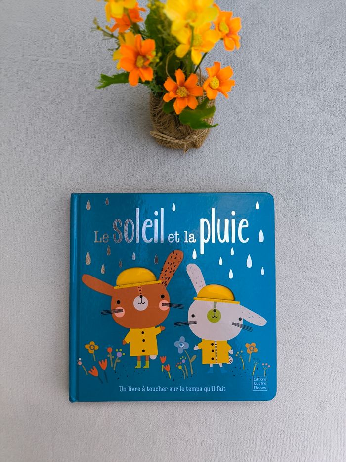 Livre Le soleil et la pluie