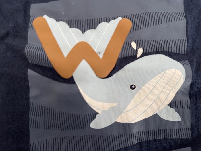 Lot de 13 teeshirt manche longue - photo numéro 4