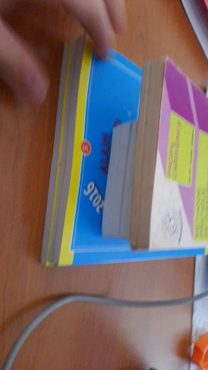 Lot 5 livre annales bac es l et dico allemand - photo numéro 5