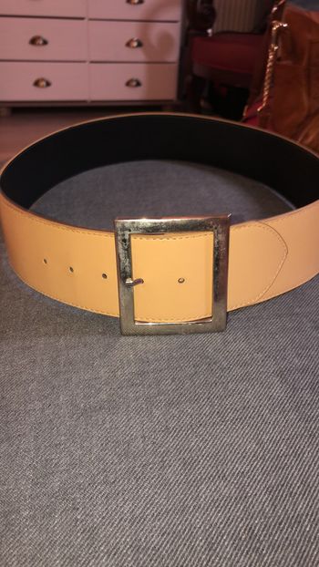 Ceinture large