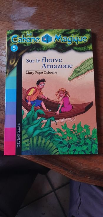 Sur le fleuve d'amazone