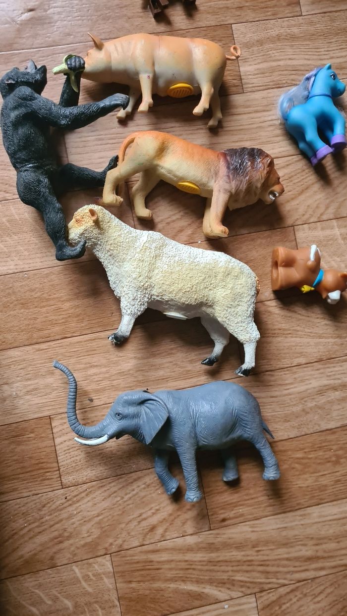 Animaux - photo numéro 3