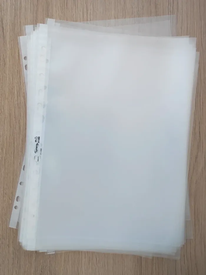 Lot 54 pochettes perforées grainées transparente / Lyreco - A4