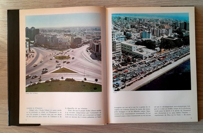 la marche de l'homme dans la république arabe lybienne - photo numéro 8