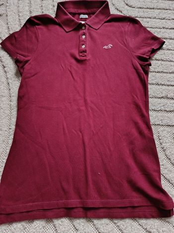 Polo Hollister