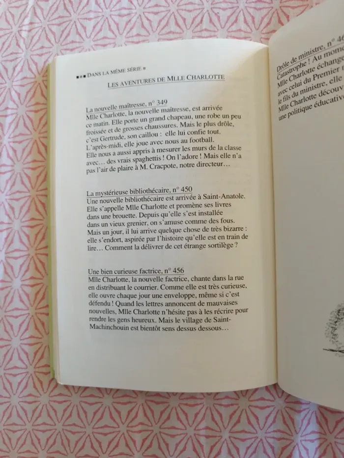 🔴Une fabuleuse femme de ménage - photo numéro 6