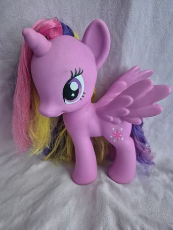 Petit poney