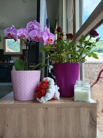 Peluche bouquet de fleur crochet neuf