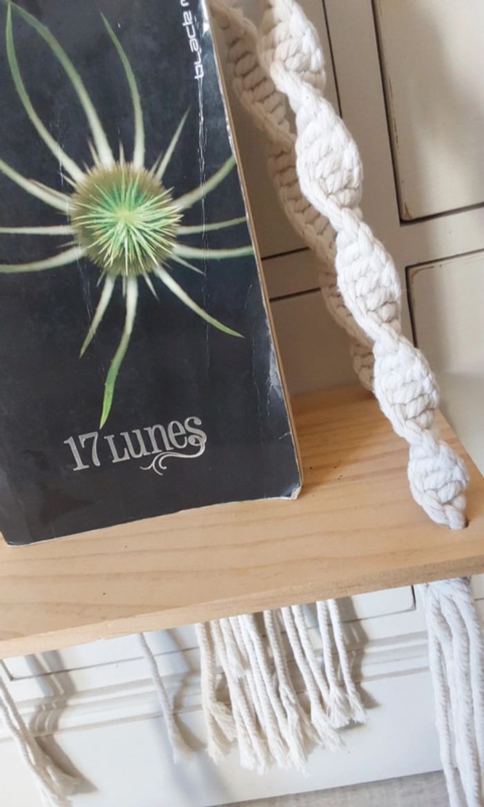 Livre 17 lunes Kami Garcia et Margaret Stol - photo numéro 4