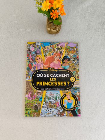 Livre Où se cachent les princesses ? Volume 2