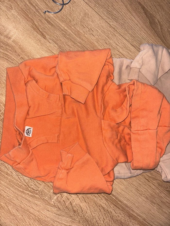 Sweat et veste à capuche 3 mois - photo numéro 3